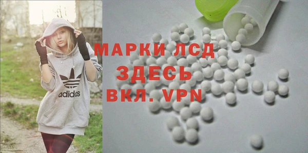 мдпв Верея