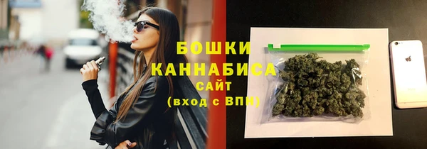 мдпв Верея