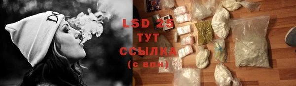 прущие грибы Сясьстрой