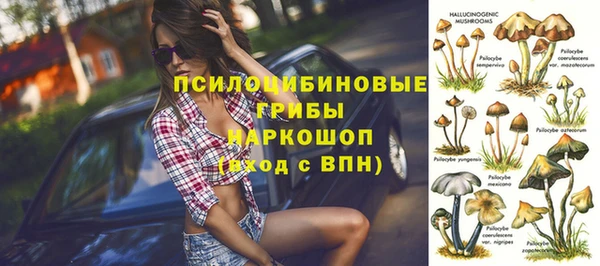 ALPHA PVP Верхний Тагил