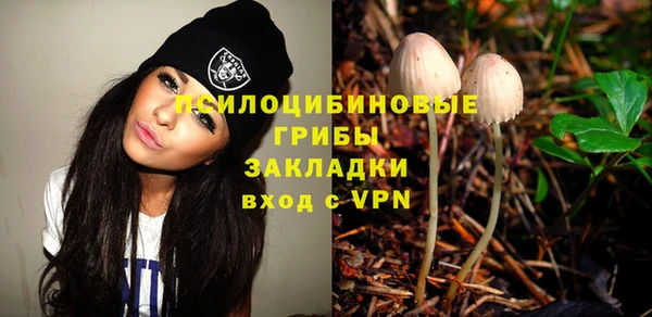 трава Верхнеуральск