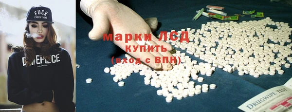 прущие грибы Сясьстрой