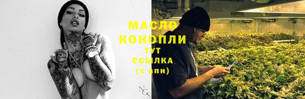 мдпв Верея