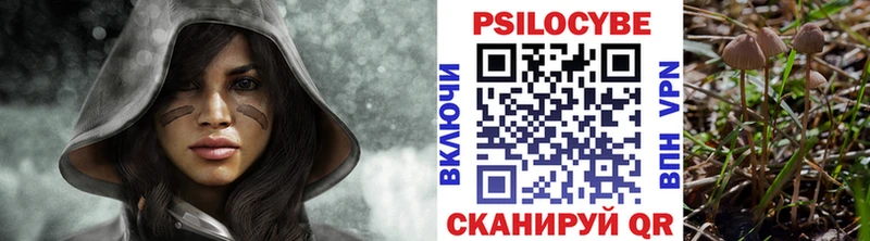 даркнет телеграм  Рузаевка  Псилоцибиновые грибы Psilocybe 