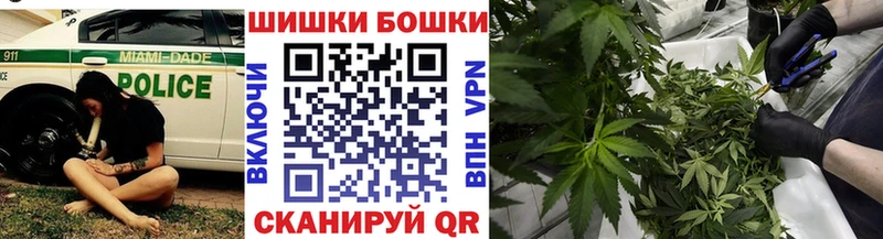 продажа наркотиков  Рузаевка  Канабис ГИДРОПОН 